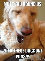 Doggone Puns P Dog Meme Funny Puns Dog Puns Animal Puns Funny Animal Puns