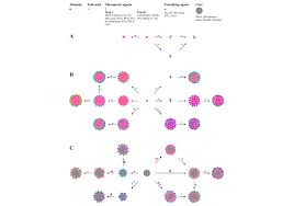 Folic acid conjugated with serum albumin for nano- and ...
