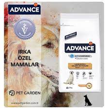 advance dog labrador golden retriever 1 yas uzeri labrador ve golden retriever irklari icin eklem ve kas yapisini guclendire golden retriever retriever kopek