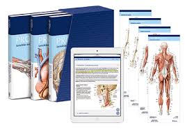 Thieme fait partie des leaders sur le marché des pièces techniques et fonctionnelles en polyuréthane ainsi qu'en système d'impression. Prometheus Das Macht Den Anatomie Atlas So Einzigartig Vorklinik Via Medici