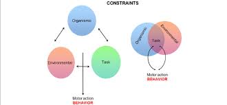 A story far from over alan newell, department of mathematics, university of arizona. Left Newell S Model 5 Organismic Environmental And Task Download Scientific Diagram
