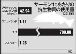 「養殖サーモン」の画像検索結果