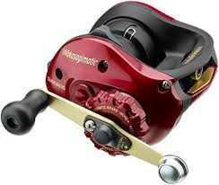 ワカサギ マチック