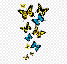 We did not find results for: Beautiful Butterfly In Group Transparent Background Png Format Butterfly Png Background Free Transparent Png Clipart Images Download