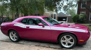 Image result for Furious Fuchsia 2010 Challenger