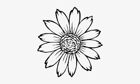 Sketsa gambar mewarnai bunga matahari. 37 Gambar Bunga Matahari Untuk Mewarnai Terbaru Lingkar Png