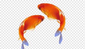 We did not find results for: Koi Carassius Auratus Facing Heaven Pepper Ink Wash Painting Computer File Free Goldfish Pull Material Free Logo Design Template Orange Material Png Pngwing