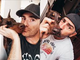 rubytuesday #transformationtuesday Ruby was always a love #doberman  #dobermann #rubydooby_do #dogsofinstagram #showdogs