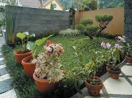 Mau punya taman rumah minimalis yang bukan saja terlihat cantik, tetapi punya bau. Serba Serbi Tanaman Hias Minimalis Tanaman Hias