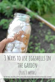 The bacterium salmonella has several genus and sub groups. 3 Ways To Use Eggshells In The Garden Our Little Suburban Farmhouse