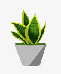 Green Pot Gray Flower Pot Hand Drawn Potted Illustration Beautiful Potted Plant Flower Pot Clipart Potted Illustration Hand Painted Plant Pot Png Transparent Plant Sketches Plant Drawing Plant Painting