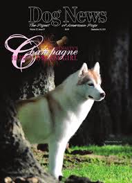 This premium new dining table set is universally acknowledged as an excellent piece of furniture for any household. Dog News Sept 16 2011 By Dog News Issuu