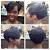 Neck Length Black Layered Bob Hairstyles