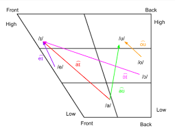 The same way as ɑ:, so that caught and cot have the same vowel. Learn The Ipa For American English Vowels