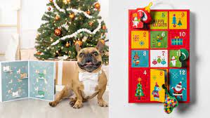 A Dog For Christmas 2021 8 Dog Advent Calendar 2021 Gifts For Your Pup This Christmas