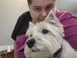 As good of a photo that I can get from Ace.