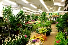 Metro wholesale flowers nashville tn. Nj And Nyc Wholesale Flowers And Garden Center Metropolitan Wholesale