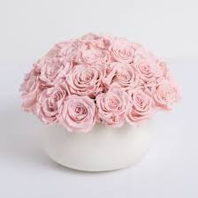 We did not find results for: Large Pink Preserved Roses Lasts A Full Year By Ode A La Rose