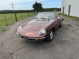 Image result for Rosso 1981 Alfa-Romeo