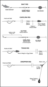 Maybe you would like to learn more about one of these? Learn To Fish Eagle Claw Fishing Rigs Fishing Tips Saltwater Fishing