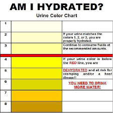 Am I Hydrated Urine Colour Chart Useful And Sometimes