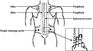Back muscles, like any other muscle in the body, require adequate exercise to maintain strength and tone. The Immediate Effects Of Traditional Thai Massage On Heart Rate Variability And Stress Related Parameters In Patients With Back Pain Associated With Myofascial Trigger Points Journal Of Bodywork And Movement Therapies