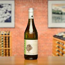 Image result for Grona stolzii