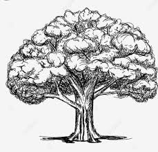 We did not find results for: Buatlah Sebuah Sketsa Karya Tiga Dimensi Berikut A Kendi B Dadu C Pohon Itu Di Gambar Brainly Co Id
