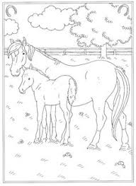 Hoofd van een paard met harnas kleurboek. 30 Ideeen Over Paarden Kleurplaat Paarden Kleurplaten Paard Knutselen