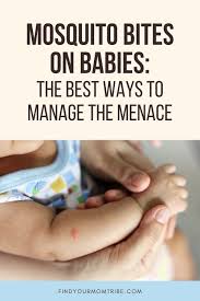 Bug Bites That Look Like Mosquito Bites But Aren T Mosquito Bites On Babies The Best Ways To Manage The Menace Essential Oils For Babies Baby Skin Care Treatment For Mosquito Bites