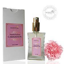 Fleur D Oeillet Botanical Perfume Oil Organic Carnation Etsy Perfume Oils Botanical Perfume Perfume