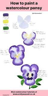 Learn this easy technique on how to paint pansies in watercolor applying the loose watercolor painting style. Tutorial How To Paint A Watercolour Pansy Emily Wassell
