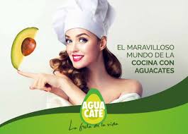 Cocina' de ferrán adrià enmarcado en la bullipedia, una publicación que también está disponible en papel y que es de. El Maravilloso Mundo De La Cocina Con Aguacates Libro De Recetas Gratuito Gastronomia Cia