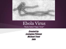 These are marked by severe bleeding (hemorrhage), organ failure and, in many cases, death. Ppt Ebola Virus Ebola Hemorrhagic Fever Powerpoint Presentation Id 2121881