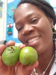 Most people eat guava, but they have no idea their leaves are even more  powerful......