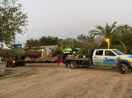 Operated by 4th generation farmers, verdant view farm brings to life the animals, stories, and the work of a small family farm. Verdant Tree Farm Landscape Verdantpalms Twitter