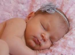 Stacy Harper Photography