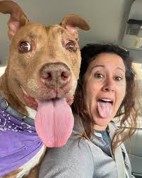 Tootsie is determine to take down Freddy Krueger after her dental cleaning  today. She's the Nightmare