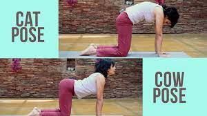 To facilitate the birth of a child such good yoga poses like warrior ii, triangle, pigeon, baddha of all the asanas on the side stretching comfort in an enlarged abdomen in the later stages of pregnancy. Pregnancy Fitness Cat Cow Pose For Back Prenatal Yoga Youtube