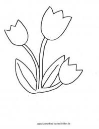Ausmalbild Tulpen Zum Kostenlosen Ausdrucken Und Ausmalen Ausmalbilder Malvorlagen Mit Bildern Ausmalbilder Zum Ausdrucken Kostenlos Blumen Ausmalen Ausmalbilder