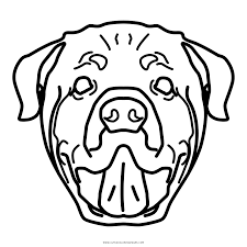 Rottweiler Disegni Da Colorare Ultra Coloring Pages