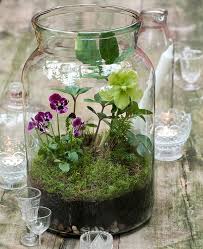Top 10 Most Popular House Home Images On Pinterest Terrarium Decor Orchid Terrarium Terrarium Diy