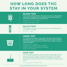 How Long Does Thc Stay In Your System Medical Marijuana Inc