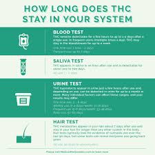 how long does thc stay in your system medical marijuana inc