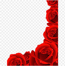 1920 x 1080 jpeg 224 кб. Rose Royalty Rose Flowers Images Hd Png Image With Transparent Background Toppng