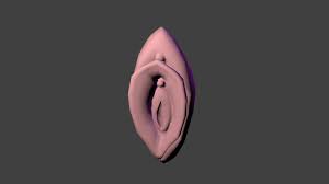 3D Vagina - TurboSquid 1559862