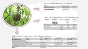 Image result for Lagenaria breviflora
