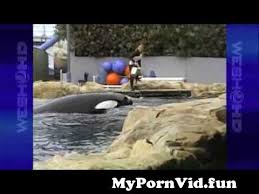 Free Inflatable Whale Porn Videos - NicePorn.Tv