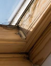 L Argile Pour Enlever La Moisissure Des Fenetres Enlever Les Moisissures Astuces Maison Bricolage Maison