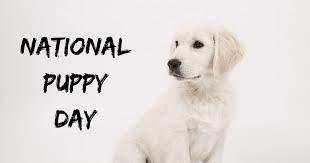 National Puppy Day National Puppy Day Puppy Day Puppies